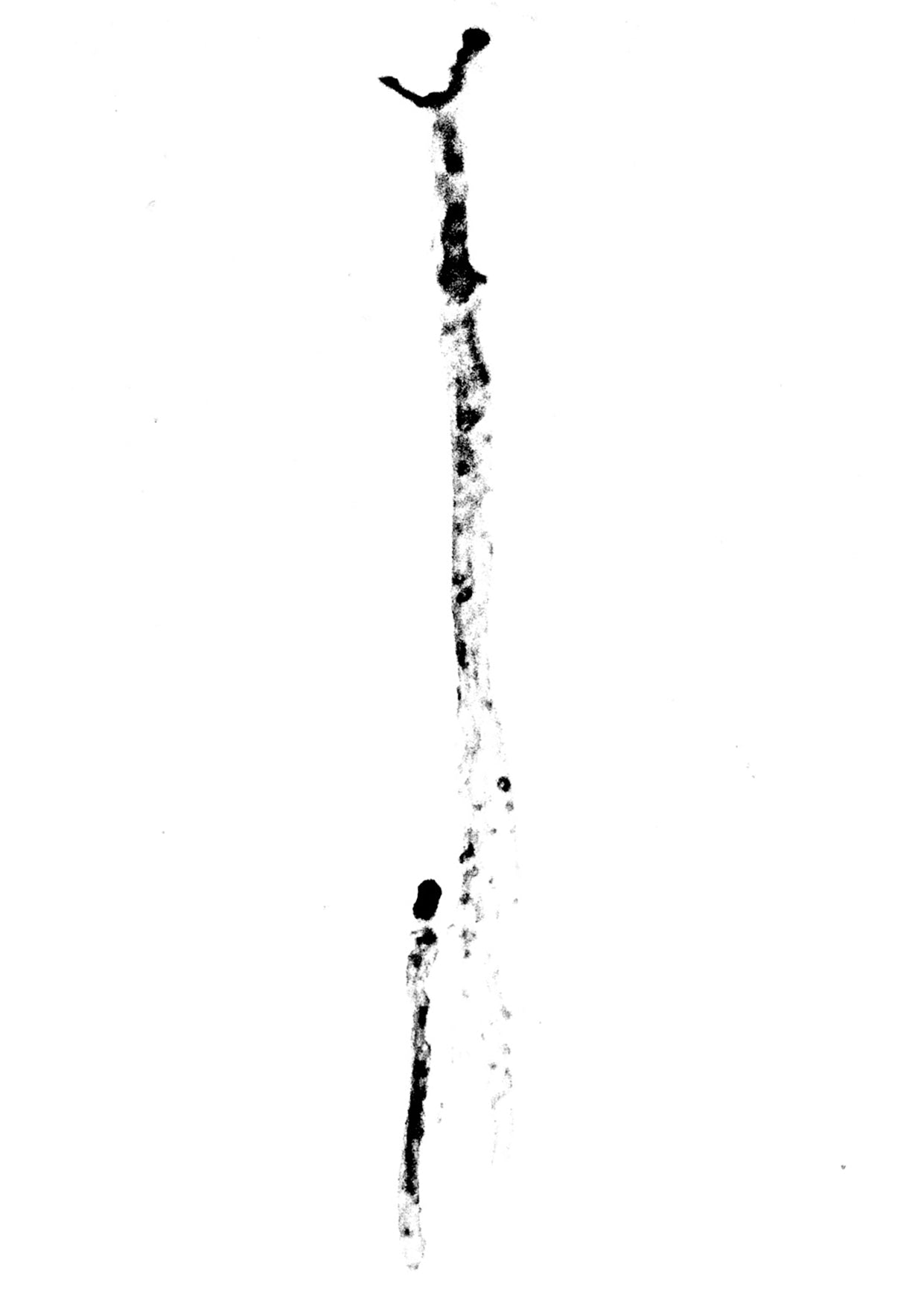 MATERIALI SACRAMENTI, VOL. I